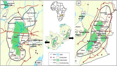 Low-Cost Forensics Reveal High Rates of Non-lethal Snaring and Shotgun Injuries in Zambia's Large Carnivores